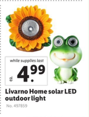 Lidl Livarno home solar led outdoor light offer
