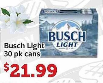 Fareway Busch light offer