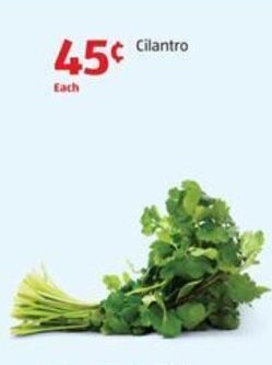 Aldi Cilantro offer