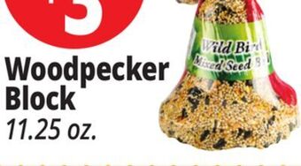 Ocean State Job Lot Woodpecker block offer