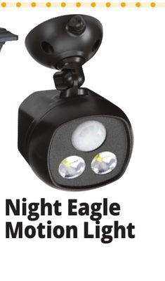 Ocean State Job Lot Night eagle motion light offer