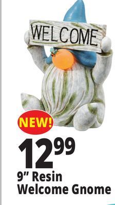 Ocean State Job Lot 9" resin welcome gnome offer