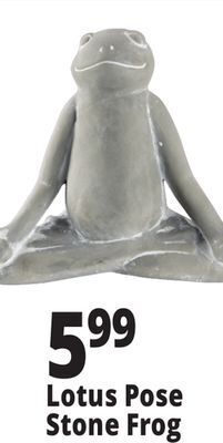 Ocean State Job Lot Lotus pose stone frog offer
