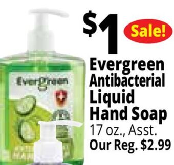 Ocean State Job Lot Evergreen antibacterial liquid hand soap offer