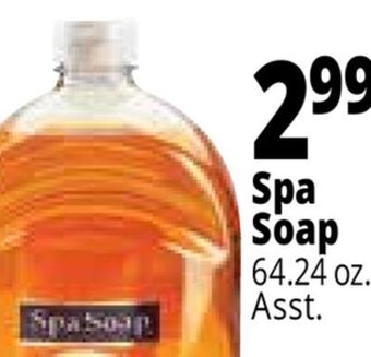 Ocean State Job Lot Spa soap offer