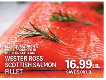 Kings Food Markets Wester ross scottish salmon fillet offer