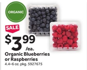 Stop&Shop Organic blueberries or raspberries offer