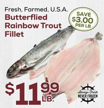 DeCicco & Sons Butterflied rainbow trout fillet offer