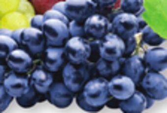 The Fresh Grocer Black seedless grapes offer
