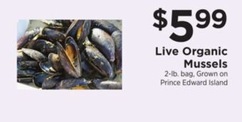 ShopRite Live organic mussels offer