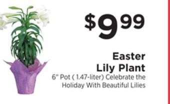 ShopRite Easter lily plant offer