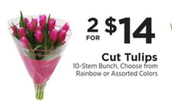 ShopRite Cut tulips offer