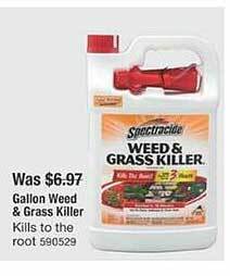 The Home Depot Gallon weed & grass killer offer