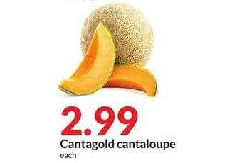 Hy-Vee Cantagold cantaloupe offer