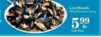 Live Mussels Weather Permitting