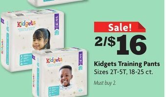 Family Dollar Kidgets training pants offer