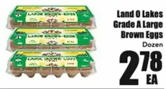 Land O Lakes Grade A Large Brown Eggs