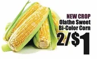 Olathe Sweet Bi-Color Corn