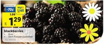 Lidl Blackberries offer