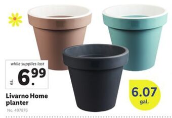 Lidl Livarno home planter offer