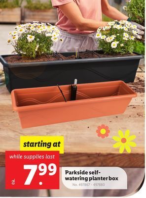 Lidl Parkside self-watering planter box offer