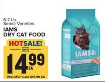 Food Lion Iams Dry Cat Food offer