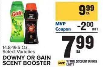 Food Lion Downy Or Gain Scent Booste 14.8-19.5 oz offer
