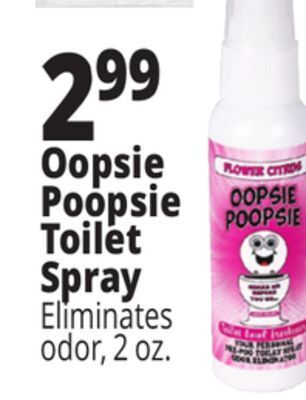 Ocean State Job Lot Oopsie poopsie toilet spray offer