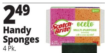 Ocean State Job Lot Ocelo anti-bacterial sponges, 4 pack offer