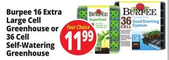 Ocean State Job Lot Burpee self-watering seed starting system, 36-cell offer