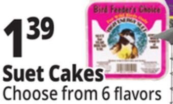 Ocean State Job Lot Bird feeder's choice high energy suet, 11 oz offer
