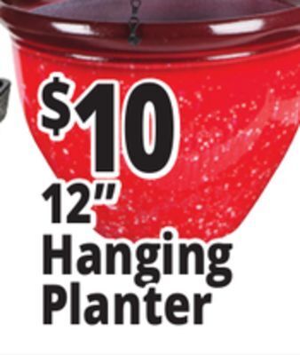 Ocean State Job Lot Hanging 12 planter offer