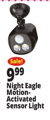 Ocean State Job Lot Night eagle motion-activated sensor security spotlight offer