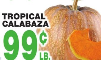 Bravo Supermarkets Tropical calabaza offer