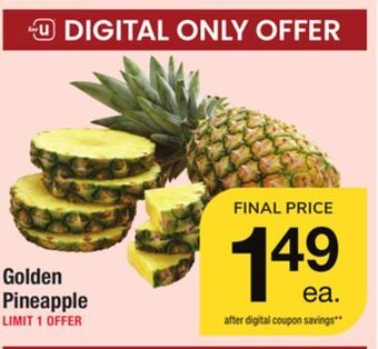 ACME Golden pineapple offer
