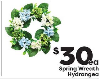 Weis Markets Spring wreath hydrangea offer