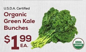 DeCicco & Sons Organic green kale bunches offer