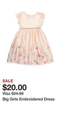 TJ Maxx Big girls embroidered dress offer