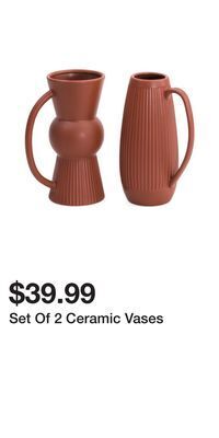 TJ Maxx Set of 2 ceramic vases offer