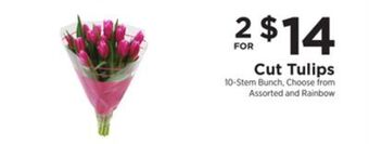 ShopRite Cut tulips offer