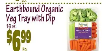 Wild By Nature Earthbound organic veg tray with dip offer