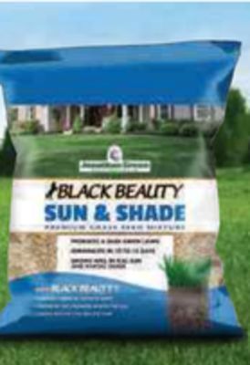 Ace Hardware Jonathan green® black beauty seed, 3 lb. offer