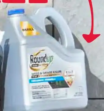 Ace Hardware Roundup® dual action weed & grass killer refill, 1.25 gal. offer