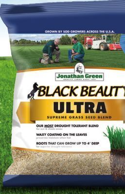 Ace Hardware Jonathan green® black beauty seed offer