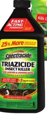 Ace Hardware Spectracide® triazicide® 40 oz. concentrate offer