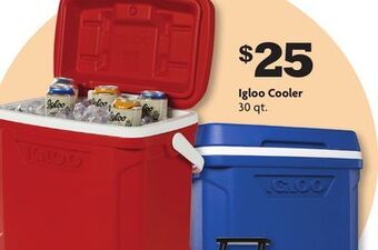 Family Dollar Igloo cooler offer