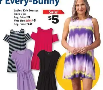 Family Dollar Ladies' knit dresses offer