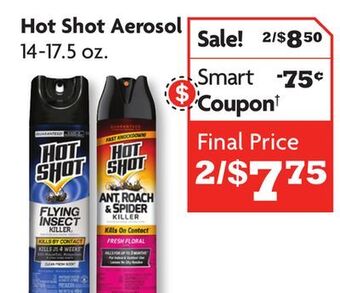 Family Dollar Hot shot aerosol offer