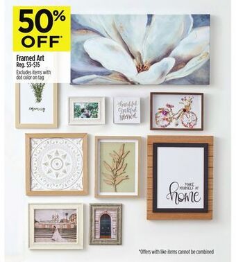 Dollar General Framed art offer