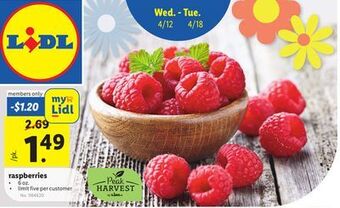 Lidl Raspberries offer